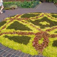 Missouri Botanical Gardens Plant Sculpture