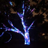 Missouri Botanical Gardens Garden Glow