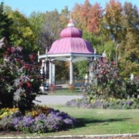 Pagoda Inside Tower Grove Park